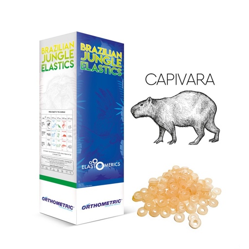 [52547] ELASTICO INTRAORAL 1/8" MEDIO 4.5OZ. CAPIVARA NEGRO PAQUETE DE 5000 UNIDADES ORTHOMETRIC REF. 60.10.2016